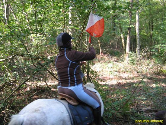 POTE Orbec 2011 epreuve trec loisir - 20111016-pote-orbec- 017.jpg